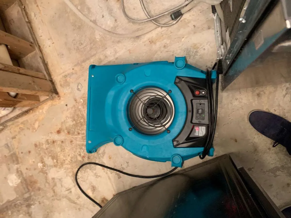Air mover drying equipment for Mold Remediation & Removal in Bloomfield